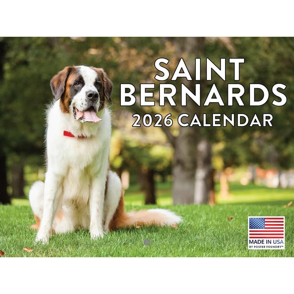 Saint Bernard Calendar 2026 Wall 12 Month Monthly Saint Bernards Gifts For Saint